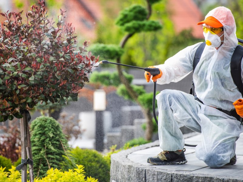 Pursaklar Haşere İlaçlama